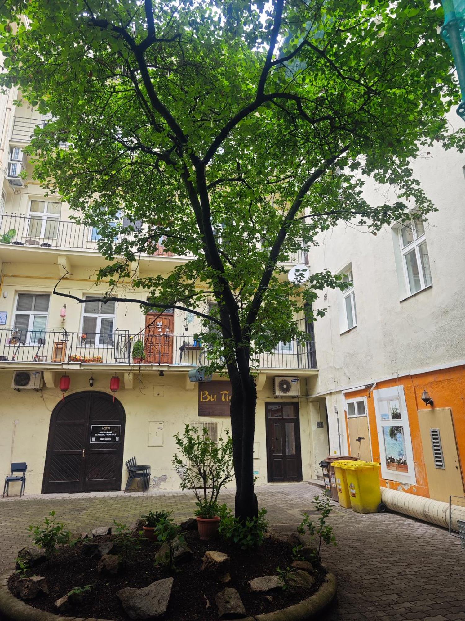 Laurinska Modern Apartment In Direct Centrum Of Bratislava, Air-Condition Exteriér fotografie